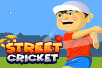 Street Cricket img